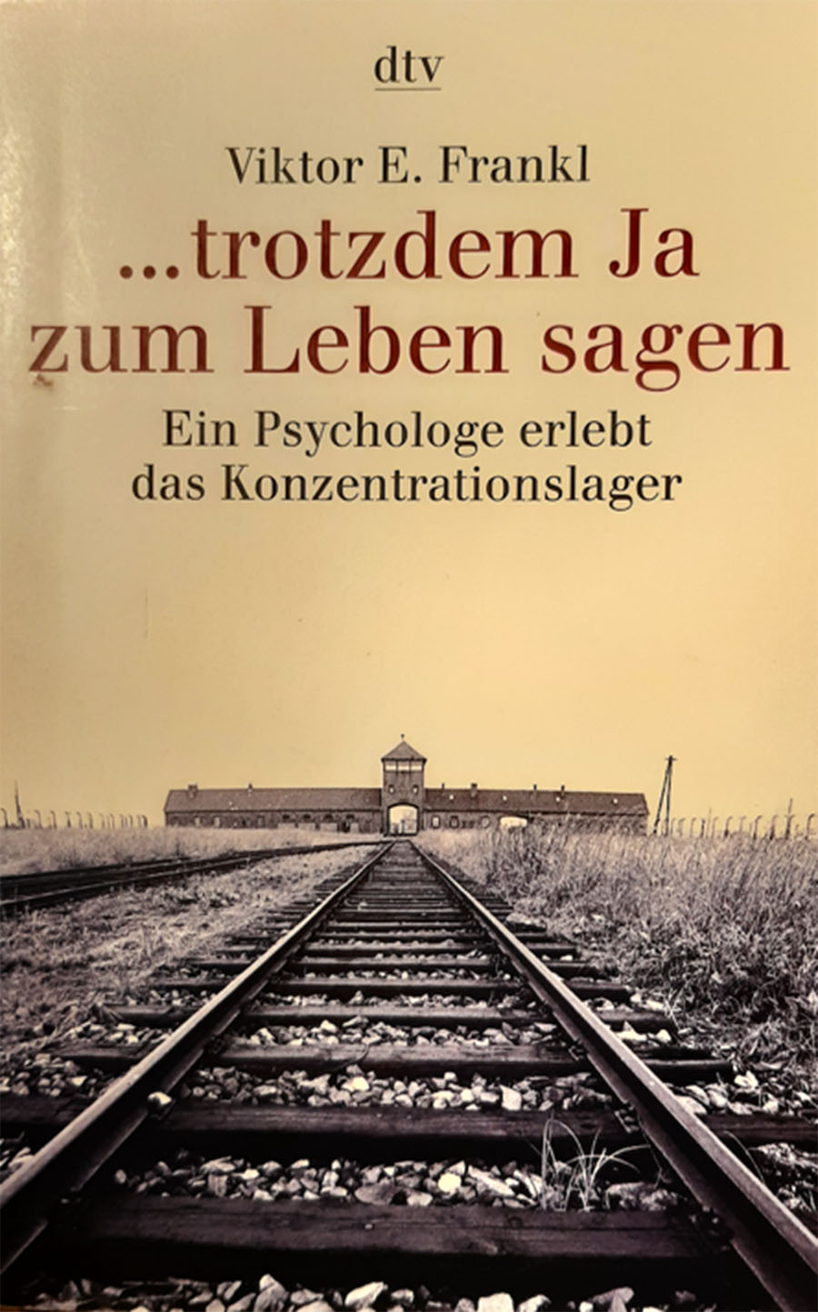 patrick-villoz-beitrag-viktor-frankl-buch-trotzdem-ja-zum-leben-sagen